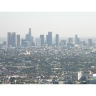 Los Angeles: : Downtown Los Angeles from Griffith Park.
