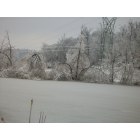 Caneyville: Pond after ice storm
