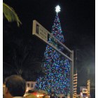 Delray Beach: Delray Beach Christmas Tree