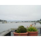 Eureka: Curvature of Earth apparently visible in distance, at Marina in Eureka, CA
