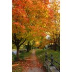 Lawrence: : Fall in Lawrence