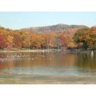 Meriden: Hubbard park pond in Autumn