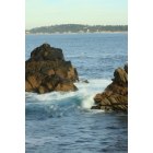 Carmel: Point Lobos - Whalers Cove