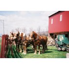 Loganton: Rural life among the Amish in Loganton, PA