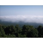 Jasper: Mountains shrouded in fog in Arkansas Grand Canyon
