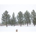 Pecos: Maxey Park covered in snow, 12-2009