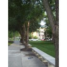 Ashland: A walkway at Randolph-Macon College