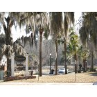 Conway: Spanish Moss