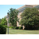 Conway: Coastal Carolina University 6