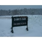 Waldoboro: Zabbys Farm