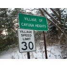 Cayuga Heights: Village of Cayuga Heights