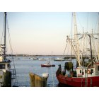 Provincetown: Provincetown Harbor