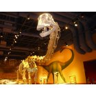 Fort Worth: : Science and History Museum