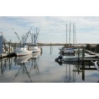 Sneads Ferry: Swan Point Marina