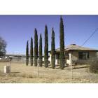 Sierra Vista: Animal Shelter