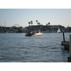 Newport Beach: Balboa Auto Ferry
