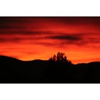 Sierra Vista: : Sunrise over the Mule Mountains from Sierra Vista