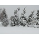 Essex: Winter Snow Storm