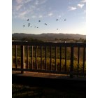 Healdsburg: From the outdoor deck of a cottage in Dry Creek Valley, Healdsburg