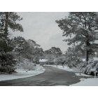 Shallotte: Village Point Estates blanketed in snow
