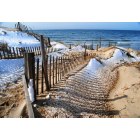 Wellfleet: Snow fencing Great Island Beach