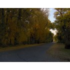 Tularosa: fall in Tularosa