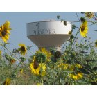 Prosper: Prosper water tower in the summer time