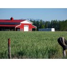 Genola: This is a picture of my neighbor's barn, just around the block. In the summer everything looks fairly green and the colors seem especially bright.