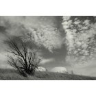 Bartlesville: Tanks on hill with clouds - Bartlesville, OK