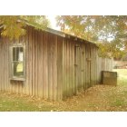 Huntingdon: weathered shed