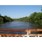 Live Oak: The Suwannee river, from old Hwy 90 bridge