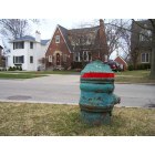 Kenilworth: The weirdest fire hydrant I've ever seen.