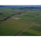 Mackay: View of Canefields in Mackay Australia. Taken from Tiger Moth