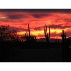 Apache Junction: : January Sunset