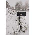 Gardnerville Ranchos: A Snowy Day on Wonder Court