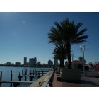 St. Petersburg: : The Pier and Downtown St Petersburg FL