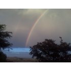 Benicia: This rainbow appeared in the east from my backyard