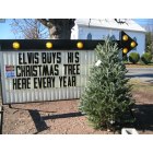 Herndon: Elvis is alive and well in Herndon, VA