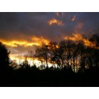 Bloomington: : Fire in the Sky