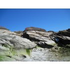 Jamestown: A Rocky intertidal beach at Beavertail park