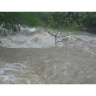Edmonton: Red Lick Creek May 2010