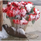 Marysville: Ice on my neighbor's flowers