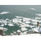 Marysville: Ice and loons on the St. Clair River