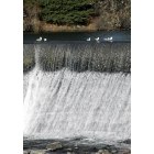 Idaho Falls: : Balancing act at the falls at the Riverwalk