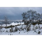 Cameron Park: Snow day Landscape