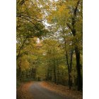 Osage: Sunny autumn day in Spring Park
