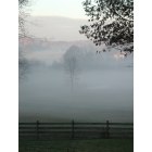 Cleveland: Morning fog rolls in from Mouse Creek