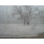 Fort Deposit: Snow in Ft Deposit
