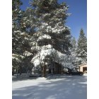 La Pine: Our house on Strawn in La Pine, OR Jan. 2010