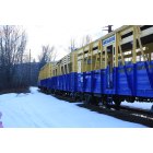 Ione: Ione train, used for train rides